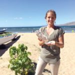 Meeting will explore using oysters  to improve water quality in harbor